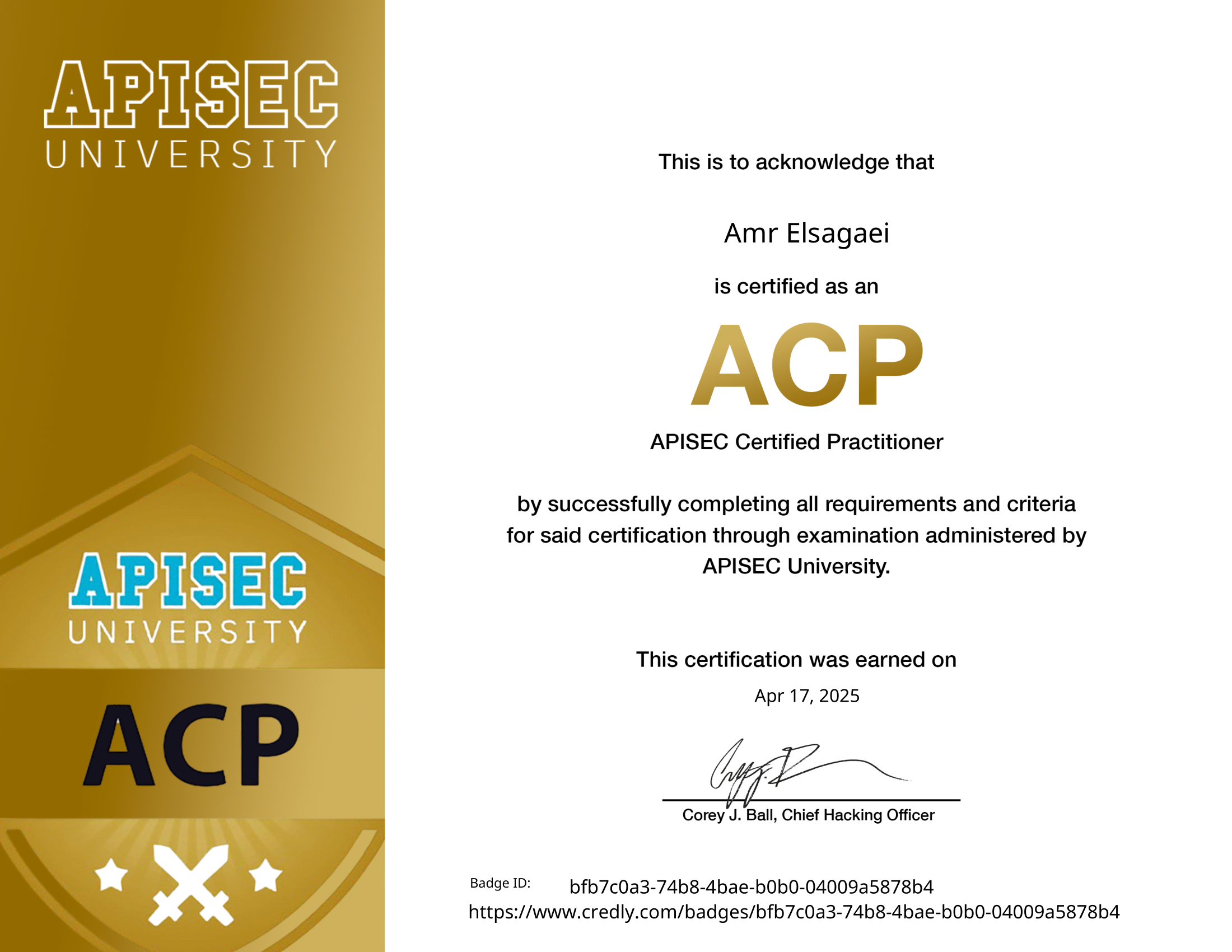 APIsec Certified Practitioner (ACP)