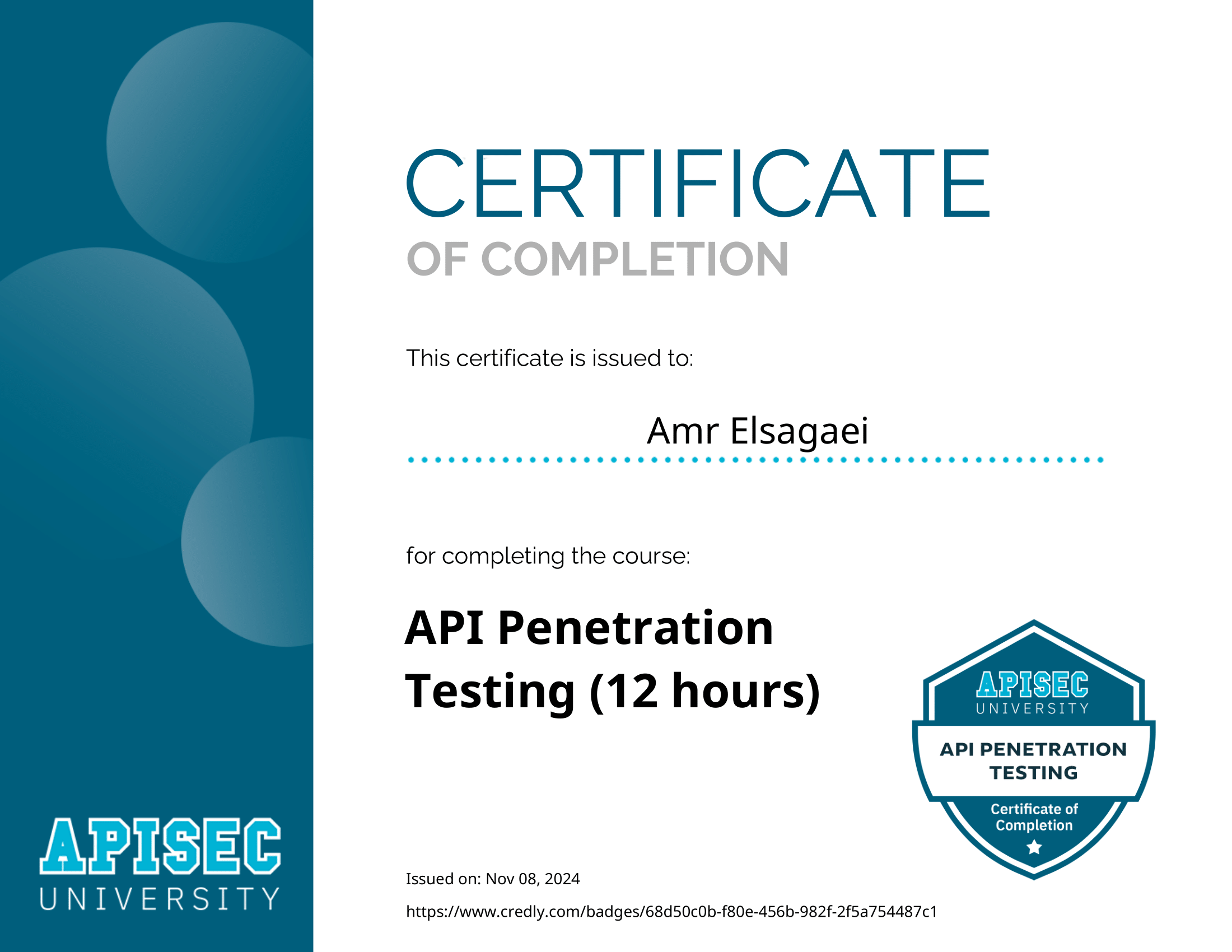 API Penetration Testing (12 hours)