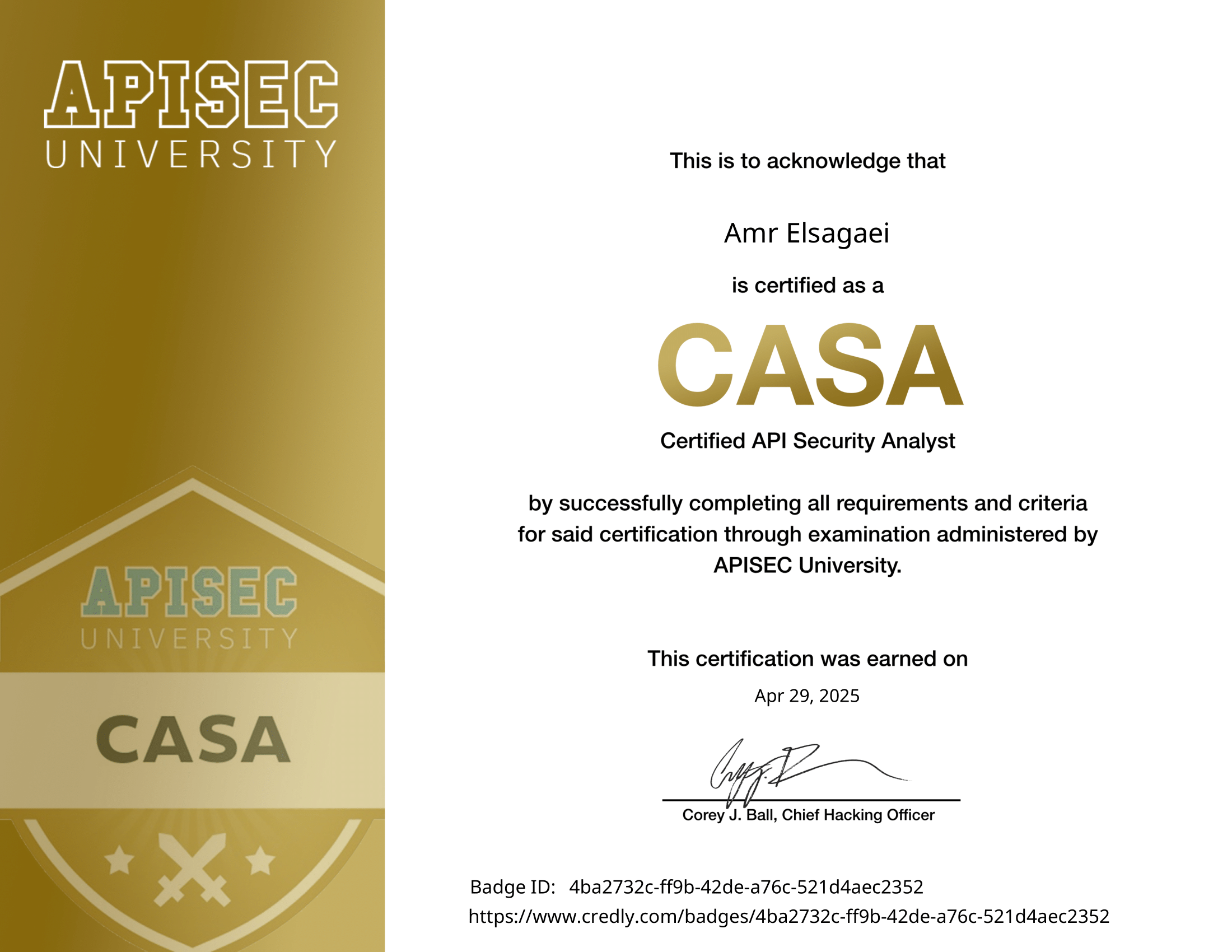 Certified API Security Analyst (CASA)